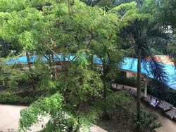 Blk 9 Holland Avenue (Queenstown), HDB 3 Rooms #551998391